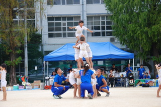 DSC_3946.JPG