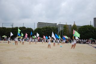 DSC_6194.jpg