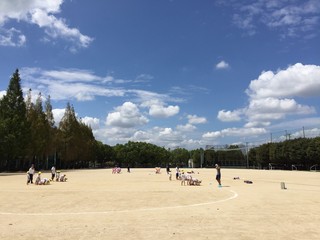 image1.JPG