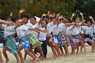 17スポーツ学園運動会ゆり組